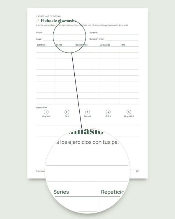 Mi cuaderno de sesiones — diario de entrenamiento de 12 semanas (caminata, carrera, gimnasio), PDF para imprimir