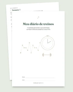 Meu diário de treinos — caderno de 12 semanas (caminhada, corrida, academia), PDF para imprimir