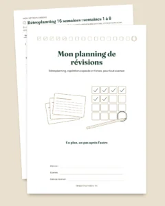 Planning de révisions d'examens — rétroplanning, répétition espacée et fiches à remplir (PDF non daté)