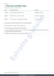 Che cosa vuol dire equo — Le grandi pulizie prima della festa — planner di 4 settimane e divisione equa delle faccende per 2-6 persone (PDF da stampare)