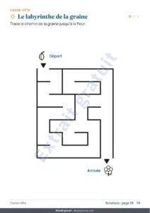 Le labyrinthe de la graine — Mon cahier de vacances — nombres, logique, journal et nature, 6-9 ans (PDF à imprimer et version tablette)
