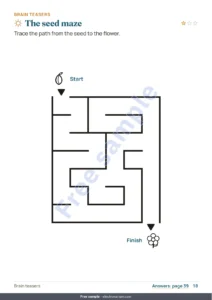 The seed maze — My vacation workbook — numbers, logic, journal and nature, ages 6-9 (printable PDF and tablet version)