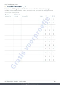 Woordenschrift (1) — Mijn taaldagboek — 90 dagen leren en woordenschat, voor elke taal (pdf om te printen)
