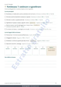 Settimana 1: smistare e sgombrare — Le grandi pulizie prima della festa — planner di 4 settimane e divisione equa delle faccende per 2-6 persone (PDF da stampare)