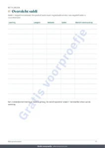 Overzicht saldi — Privélessen & bijles — werkmap voor leerlingen, lessen en betalingen + PDF-boekje om te printen (Excel, Google Sheets en LibreOffice)